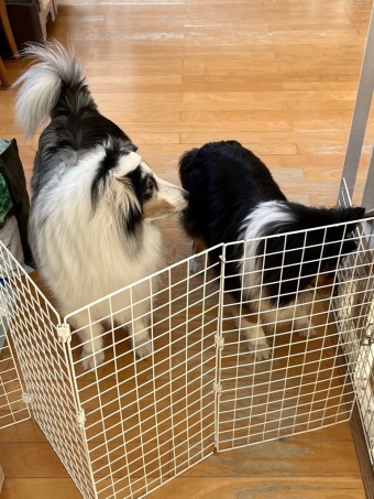 image0 image01-e1692674726470